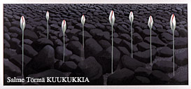 Kuukukkia